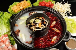 火鍋品類陷僵局 8000億市場藍海下的冷思考與破局之道