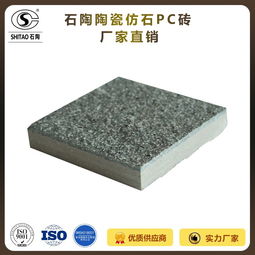 專業制造，堅固耐用 18mm陶瓷仿花崗巖路面磚引領戶外鋪裝新潮流